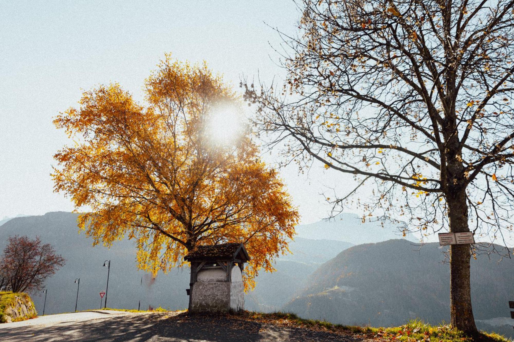 Pension Hatzis Laion Esterno foto